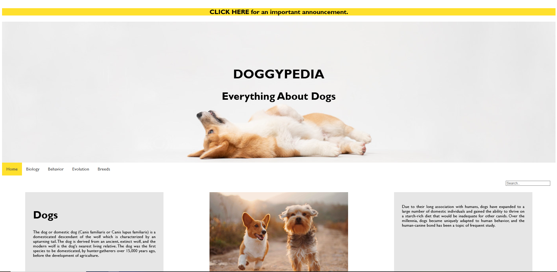 Doggypedia